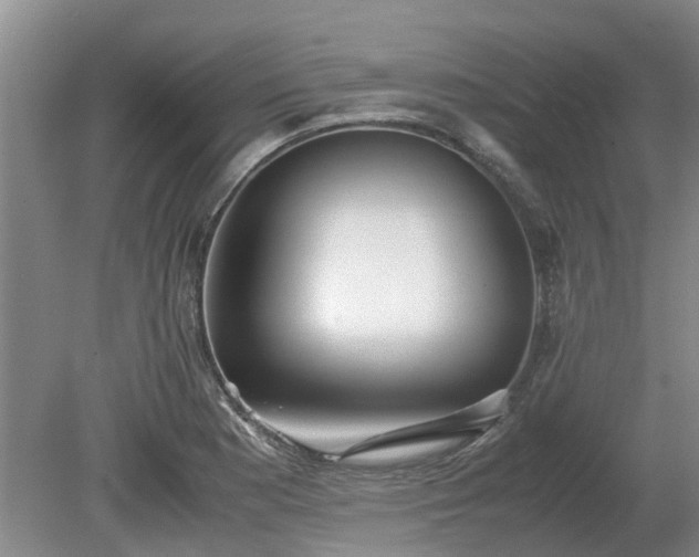 X0000081291177200701181801