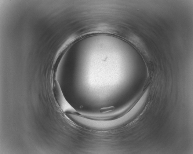 X0000081291180200701181801