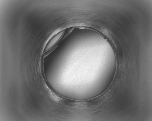 X0000081291181200701181801