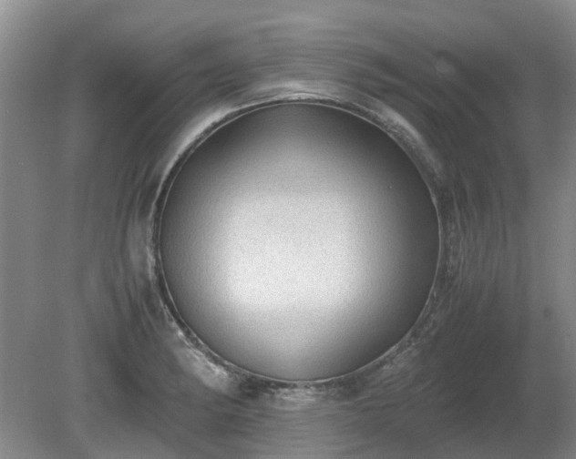 X0000081291182200701181801