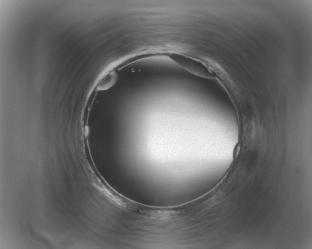 X0000081291184200701181801