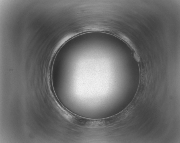 X0000081291187200701181801