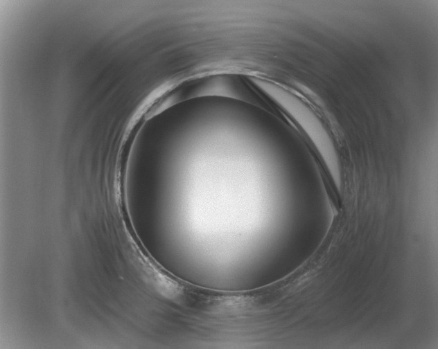 X0000081291188200701181801