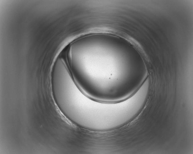 X0000081291192200701181801