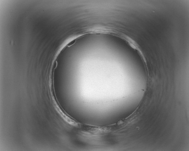 X0000081291195200701181801