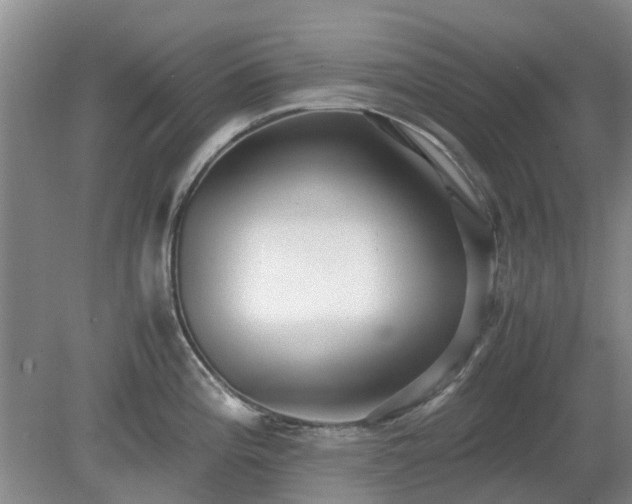 X0000081291196200701181801