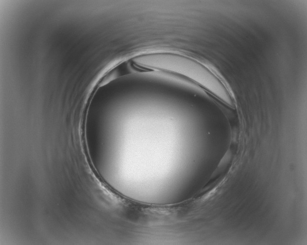 X0000081291197200701181801
