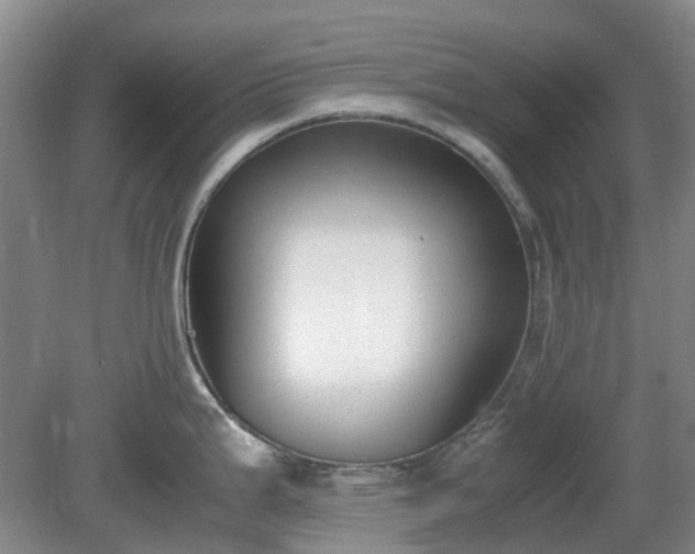 X0000081291199200701181801