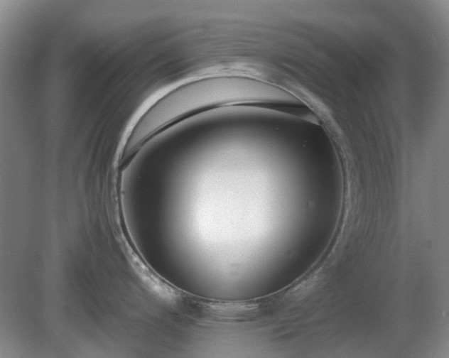 X0000081291200200701181801