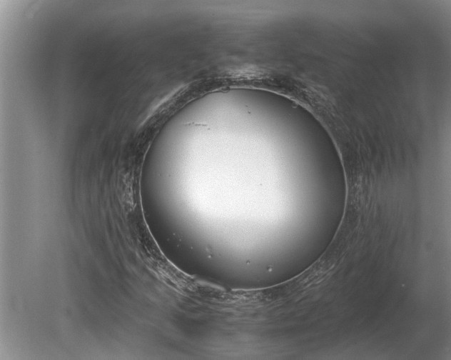 X0000081291205200701181800