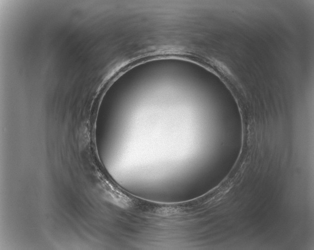 X0000081291212200701181800