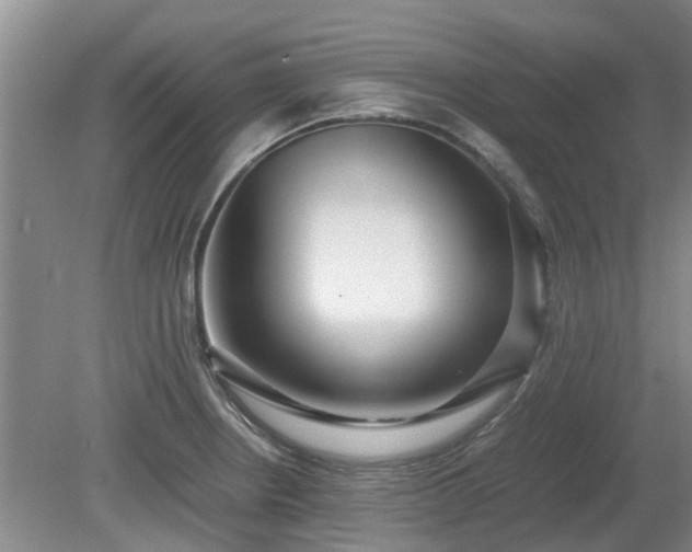 X0000081291234200701181801