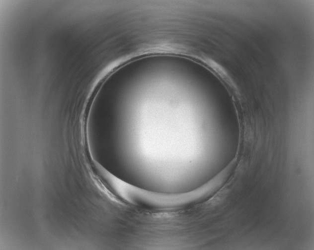 X0000081291238200701181801
