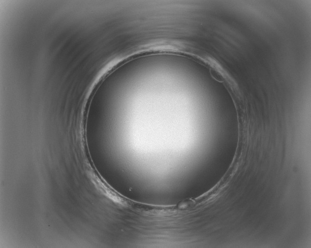 X0000081291240200701181801