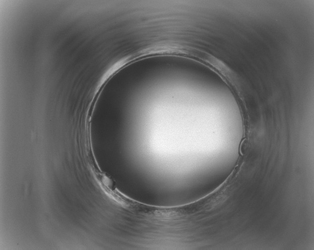 X0000081291242200701181801