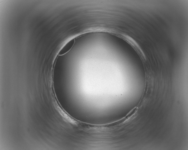 X0000081291244200701181801