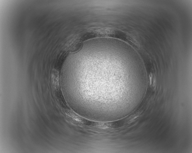 X0000081291251200701181800