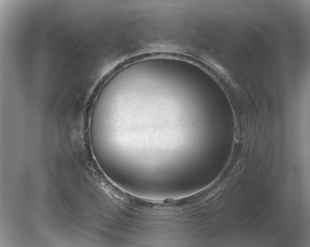 X0000081291264200701181800
