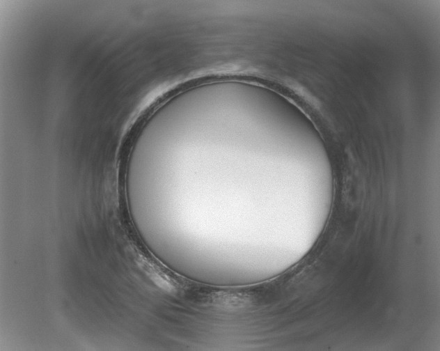 X0000081291270200701181800