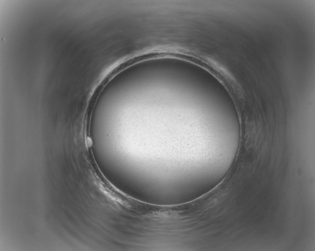 X0000081291272200701181800
