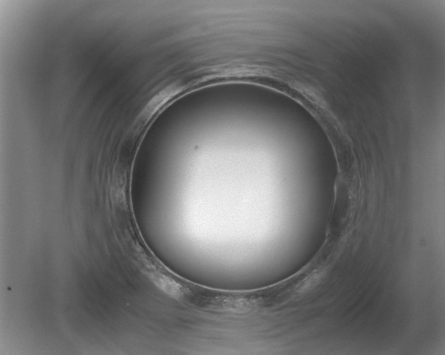 X0000081291273200701181759