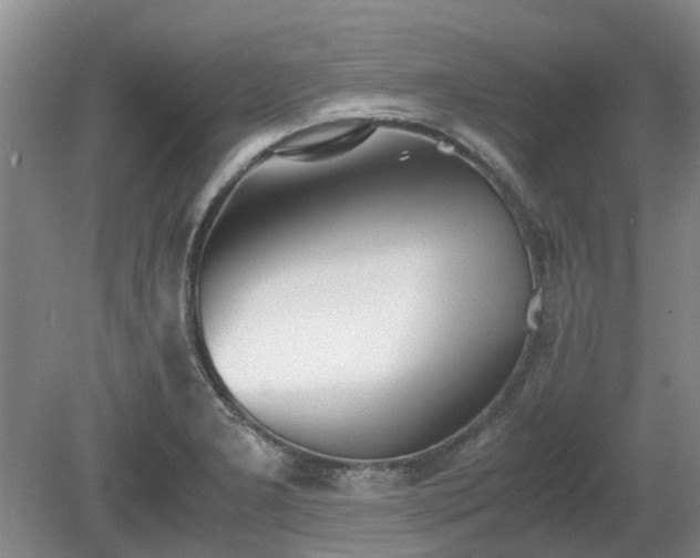 X0000081291277200701181759