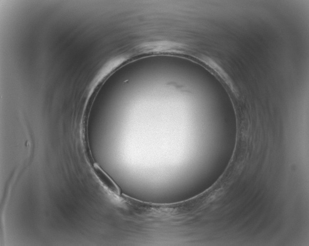 X0000081291285200701181759