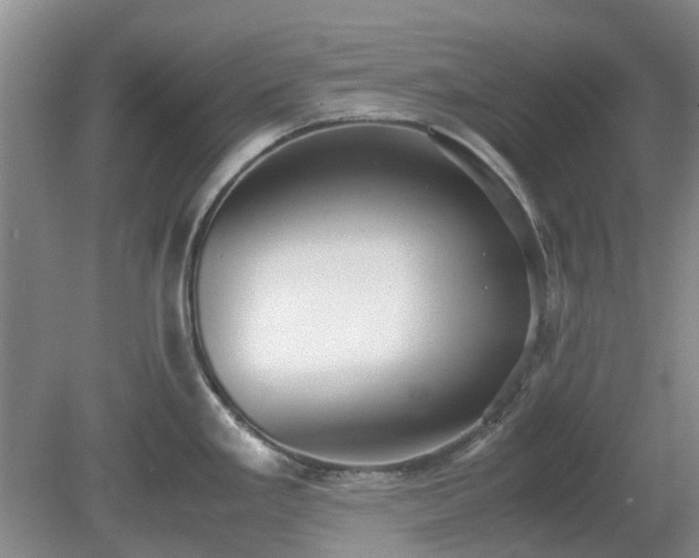 X0000081291293200701181759