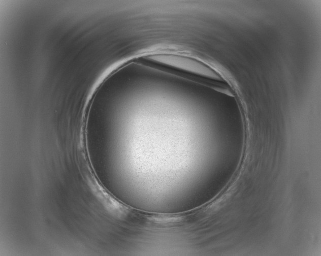 X0000081291296200701181759