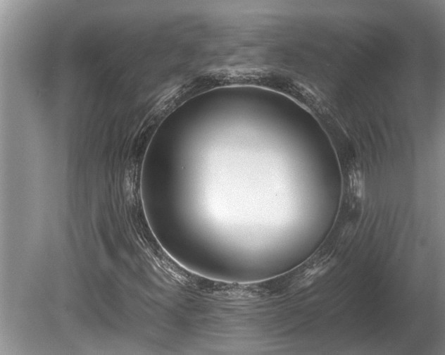 X0000081291300200701181758
