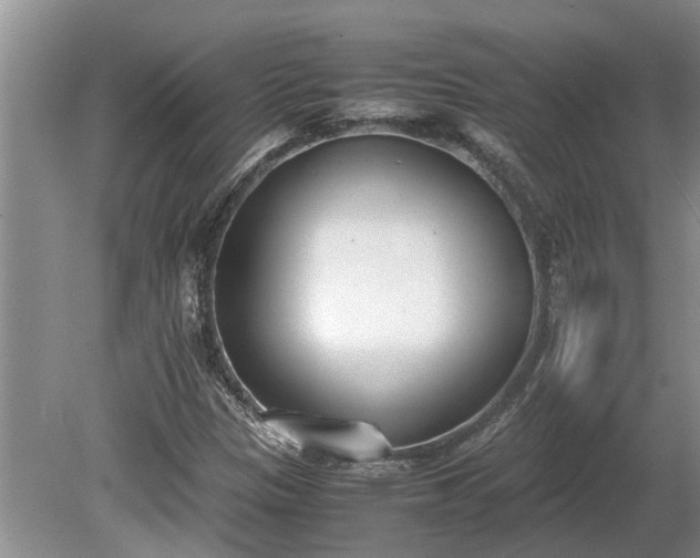 X0000081291305200701181758