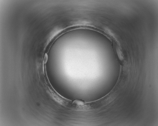 X0000081291320200701181759