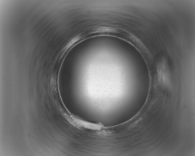X0000081291321200701181759
