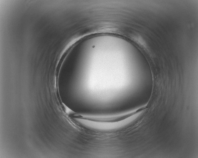 X0000081291324200701181759