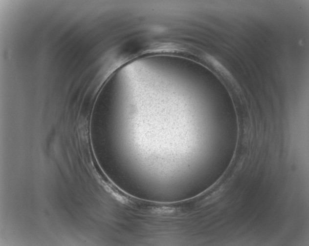 X0000081291329200701181759