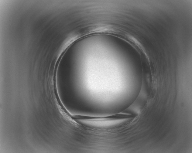 X0000081291330200701181759