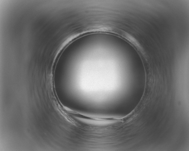 X0000081291332200701181759