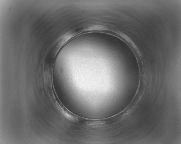 X0000081291337200701181759
