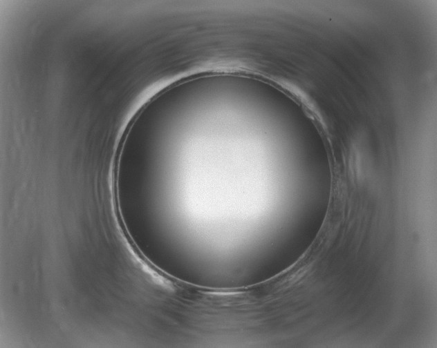 X0000081291343200701181759