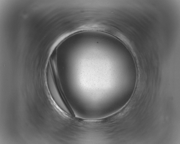X0000081291344200701181759