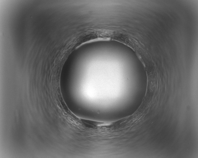 X0000081291345200701181758
