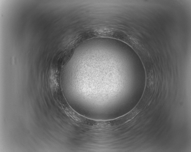 X0000081291346200701181758