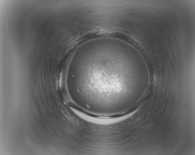 X0000081291348200701181758