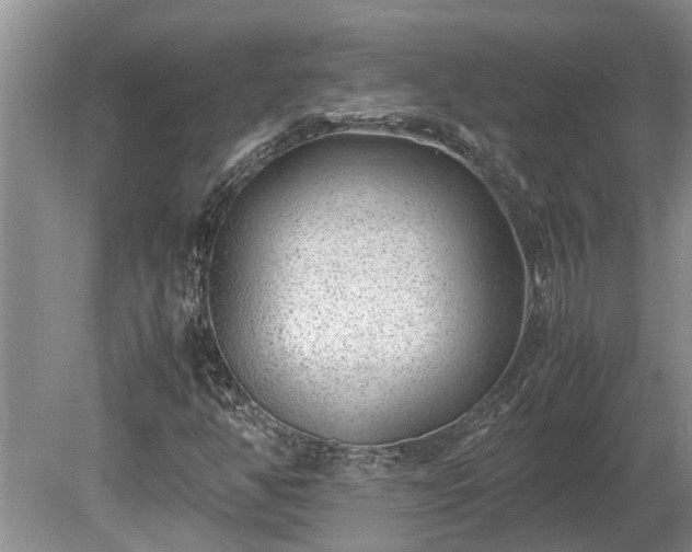X0000081291350200701181758