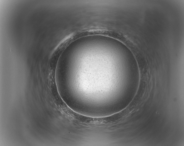 X0000081291351200701181758