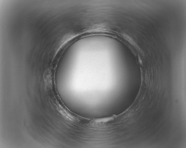 X0000081291356200701181758