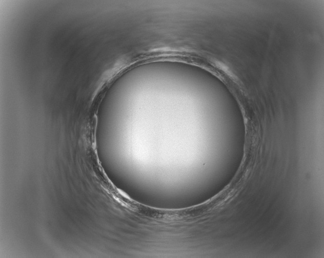 X0000081291357200701181758