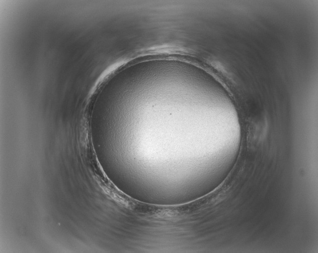 X0000081291358200701181758