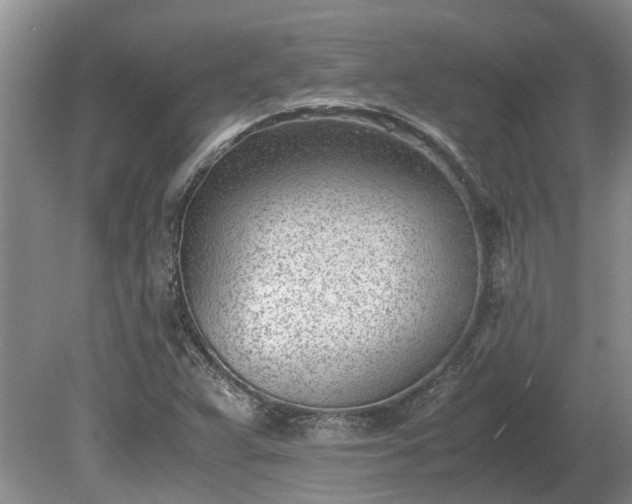 X0000081291359200701181758