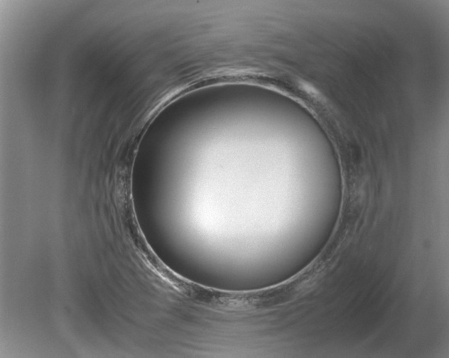 X0000081291361200701181758